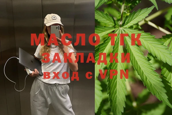 гидра Карпинск