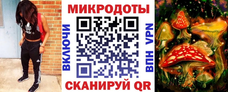 Купить  Алушта  Псилоцибиновые грибы Psilocybine cubensis 
